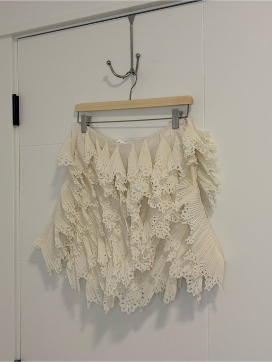 H&M Dresses & Skirts - H&M Edition Chiffon Skirt